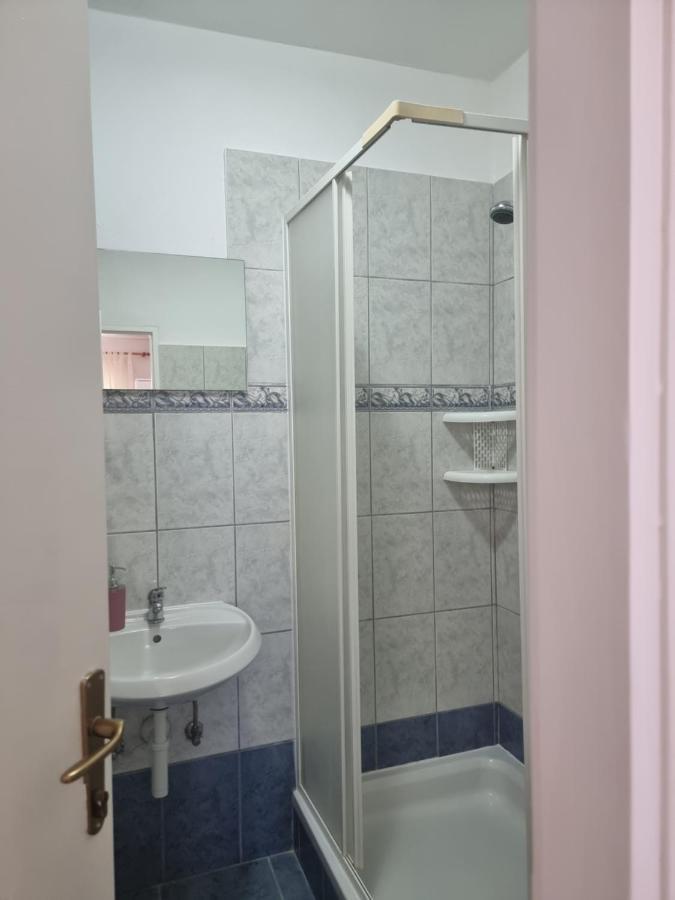 Apartmani Alen Dinjiška Buitenkant foto