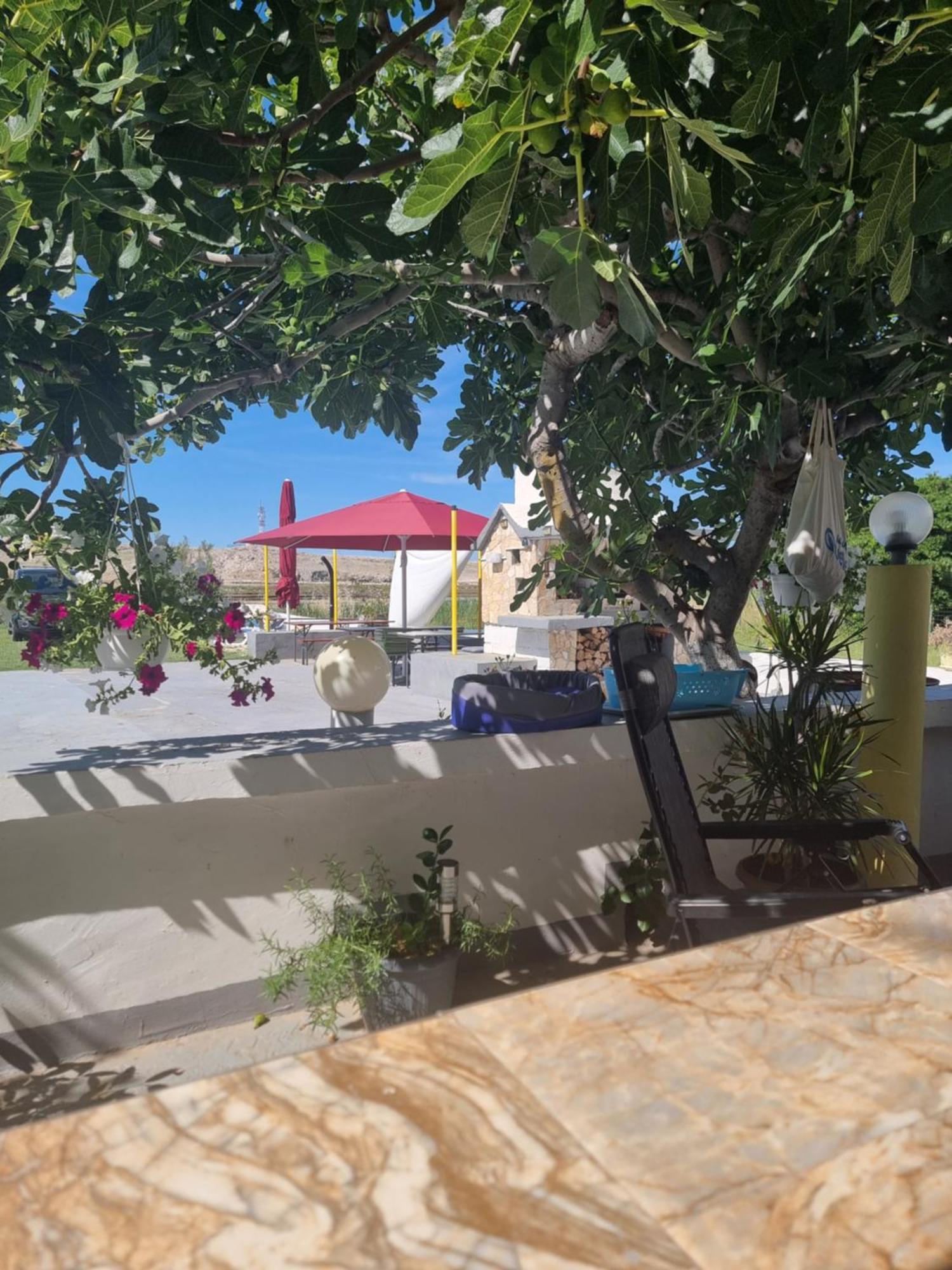 Apartmani Alen Dinjiška Buitenkant foto