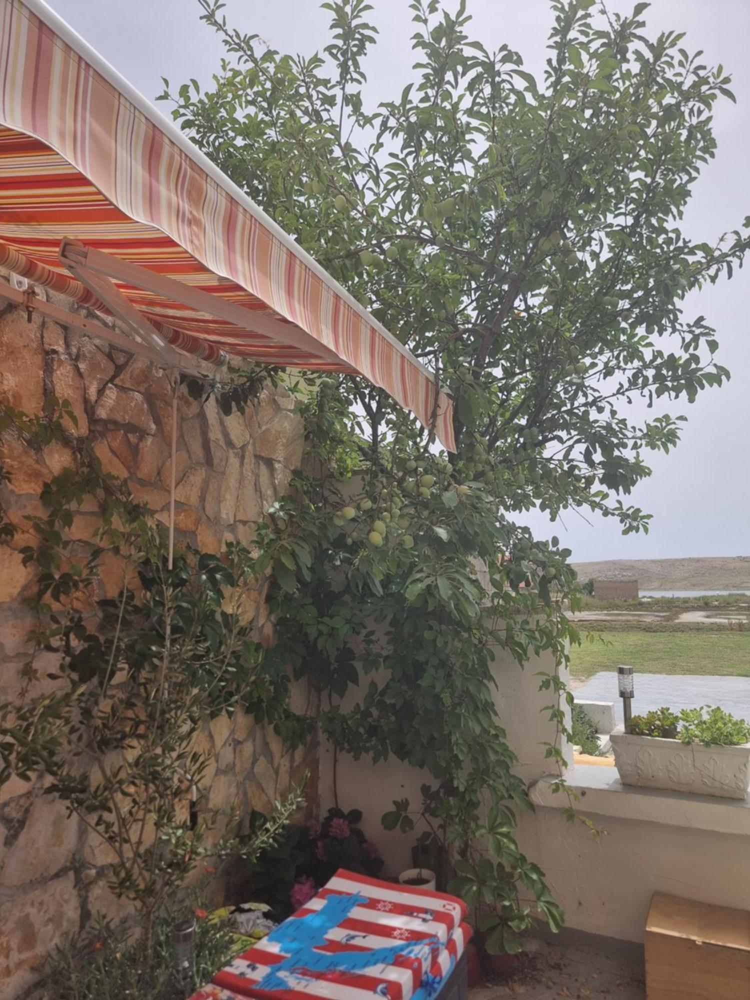 Apartmani Alen Dinjiška Buitenkant foto